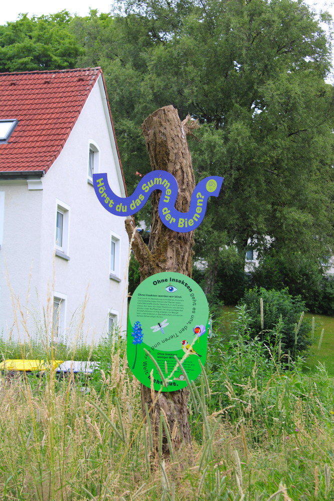 Schutz