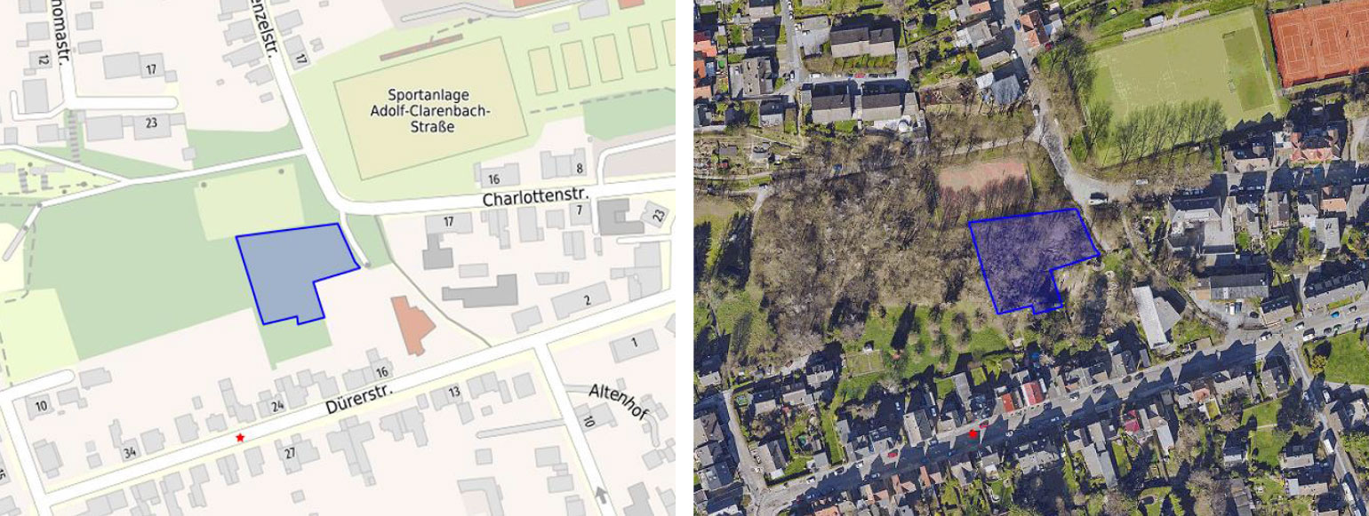 Wald 13 wald1a duerer menzelstrasse