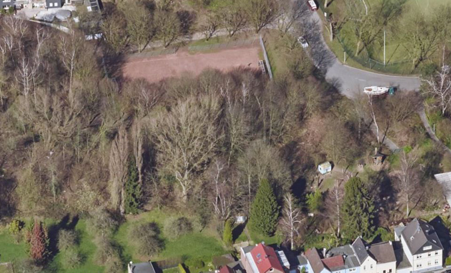 Wald 14 wald1b duerer menzelstrasse