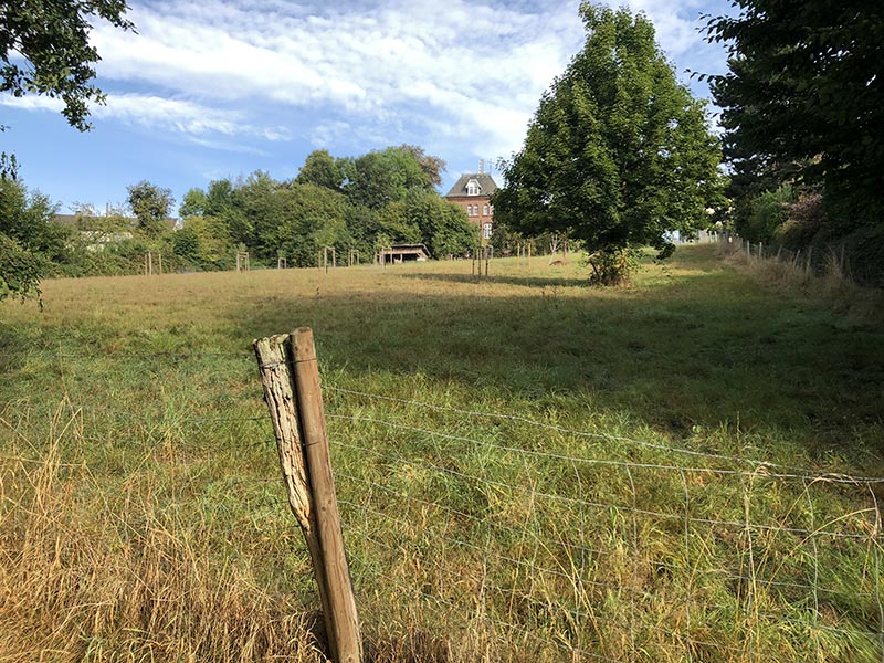 Obstwiese an der Vockerterstr von unten gesehen