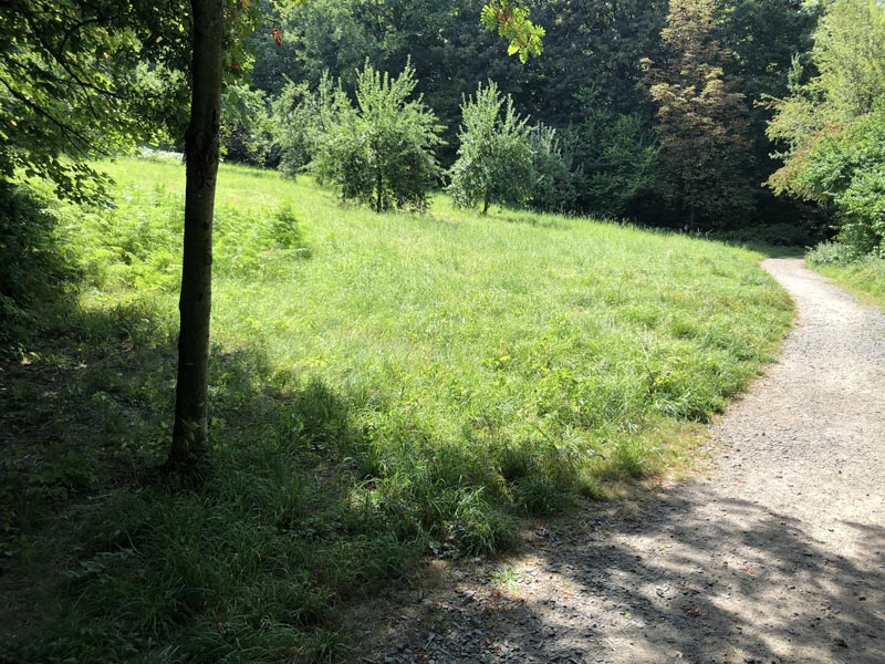 Wald 12 Obstwiese Im Heiderbusch unten