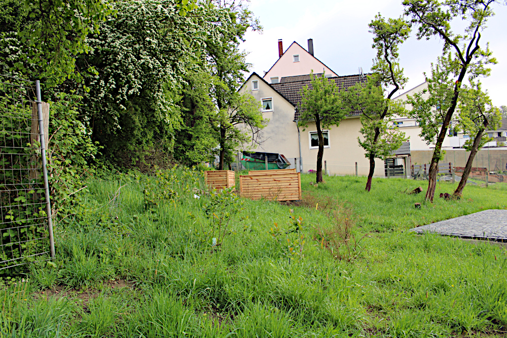 Burg / Höhscheid 4 IMG 1832